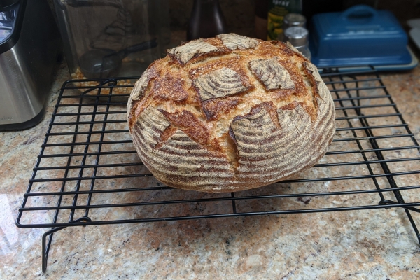 00100lrPORTRAIT_00100_BURST20200524175239198_COVER